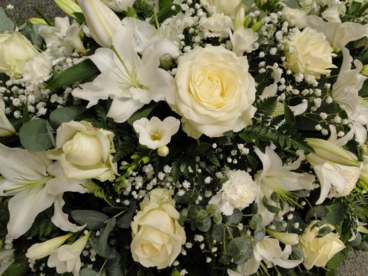 White Coffin Flowers