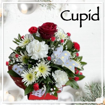 Cupid Christmas Flowers