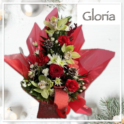 Gloria Christmas Flowers