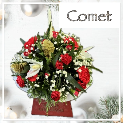 Comet Christmas Flowers 