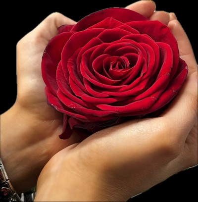 Macan Valentines Flowers