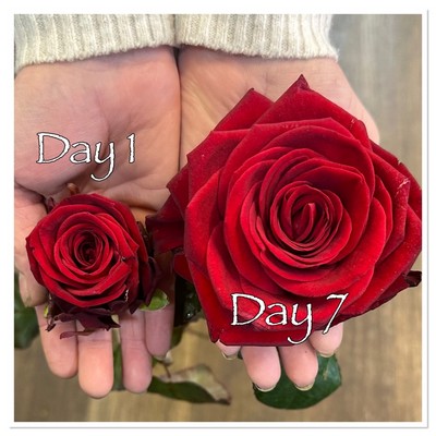 Vespa Valentines Flowers