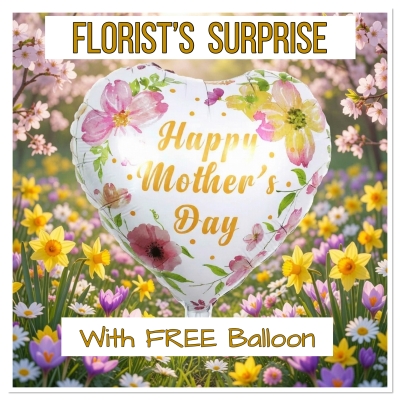 Florists Surprise