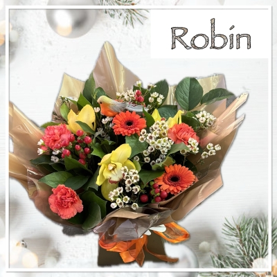 Robin Christmas Flowers