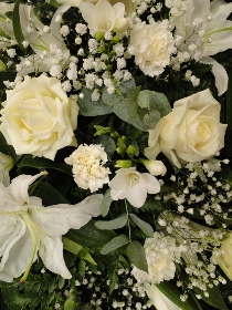 White Coffin Flowers