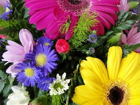 Colchester Funeral Flowers