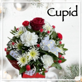 Cupid Christmas Flowers
