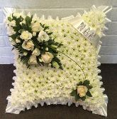 Cushion   All White