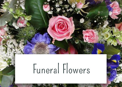 Gift And Funeral Flowers Delivered Daily In Colchester By Jennifleurs Your Colchester Florist